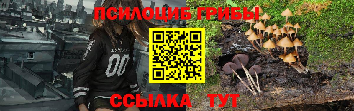 Аша  Галлюциногенные грибы Psilocybine cubensis  Вход с VPN  где продают   Галлюциногенные грибы мицелий 